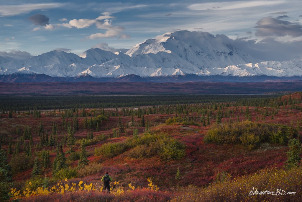 Into the wilderness - Denali National Park - Alaska Landscape Photography