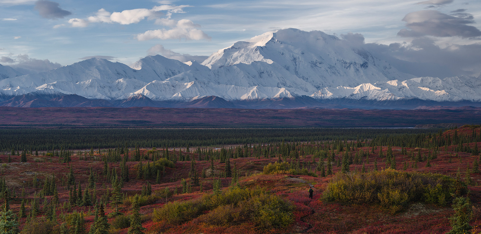 Hike into the wilderness, Denali National Park