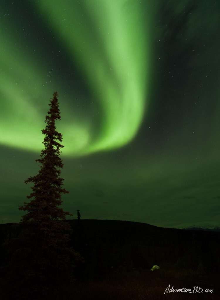 Aurora over the Wonder Lake campground, Denali National Park, Alaska