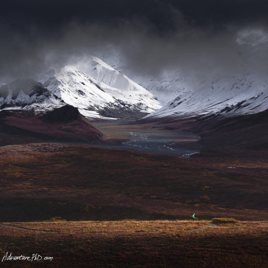 Denali National Park landscape