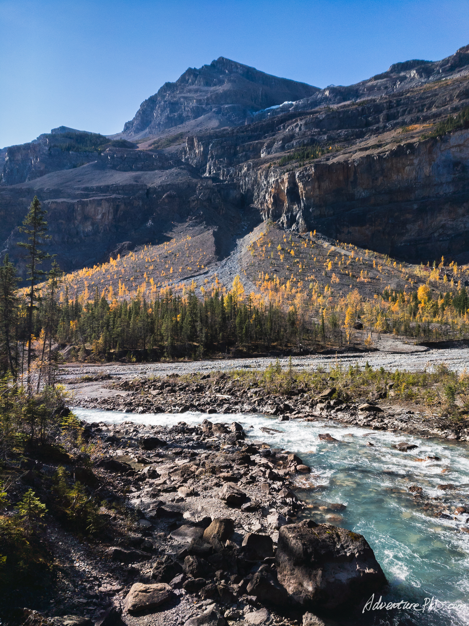 Berg Lake Trail in Autumn