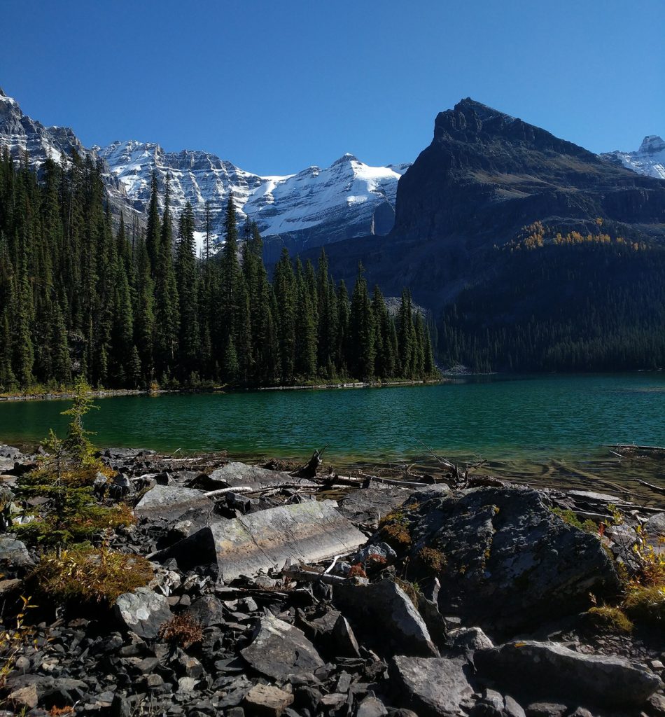 Lake O'Hara, Yoho National Park