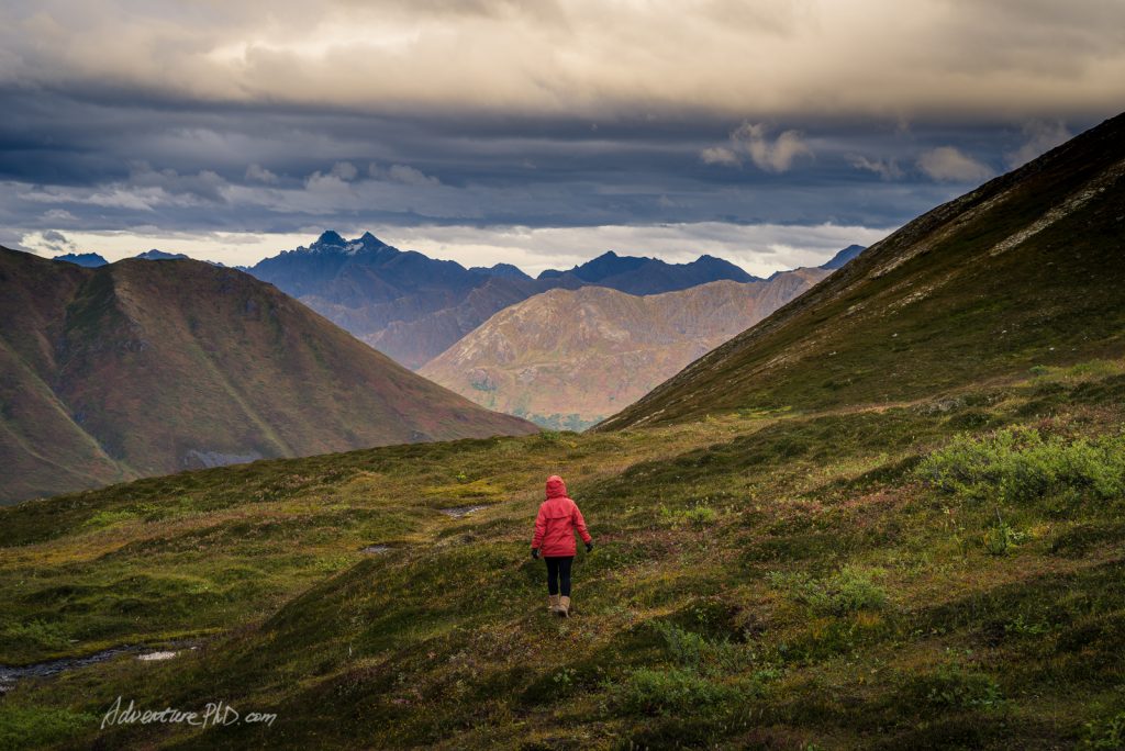 Tammy walks into the fields, Hatcher Pass. Alaska Photography
