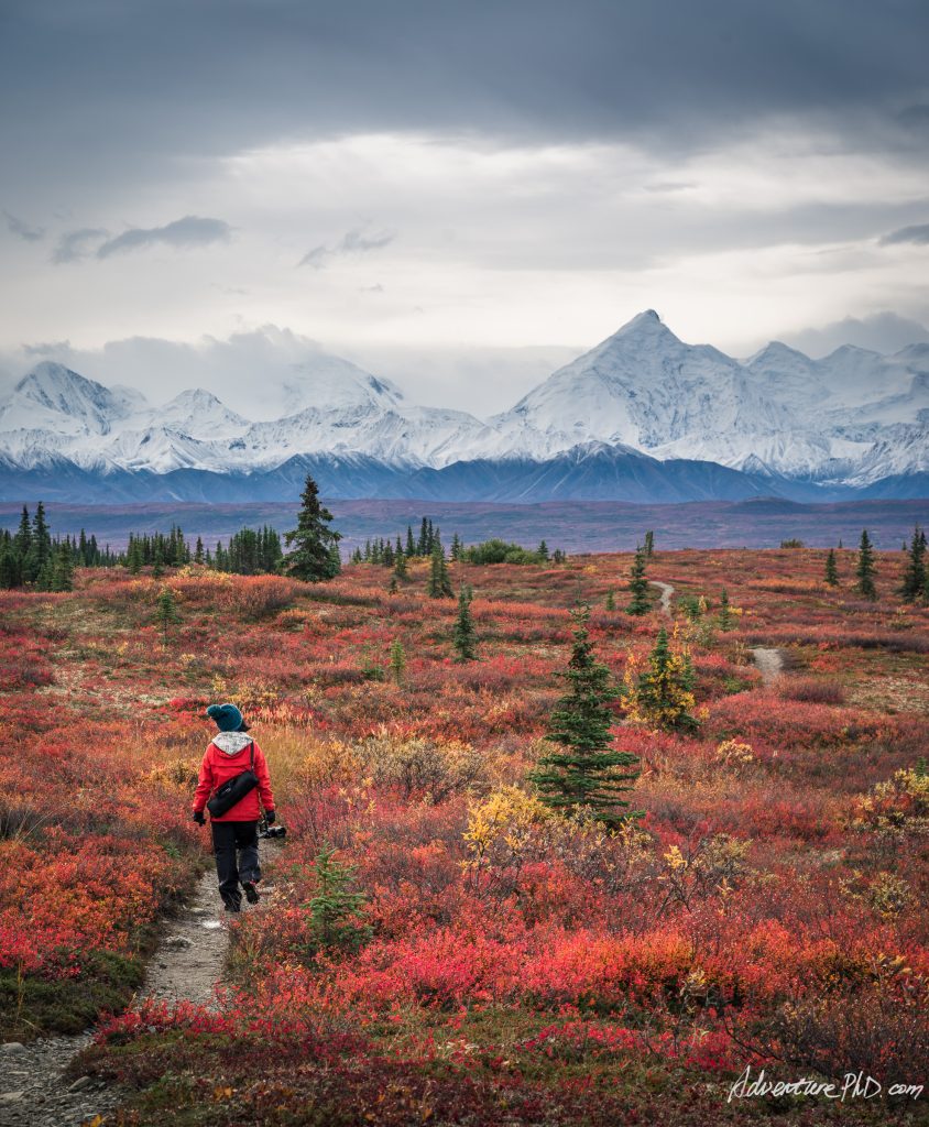 McKinley Bar Trail with mountain views in the fall season