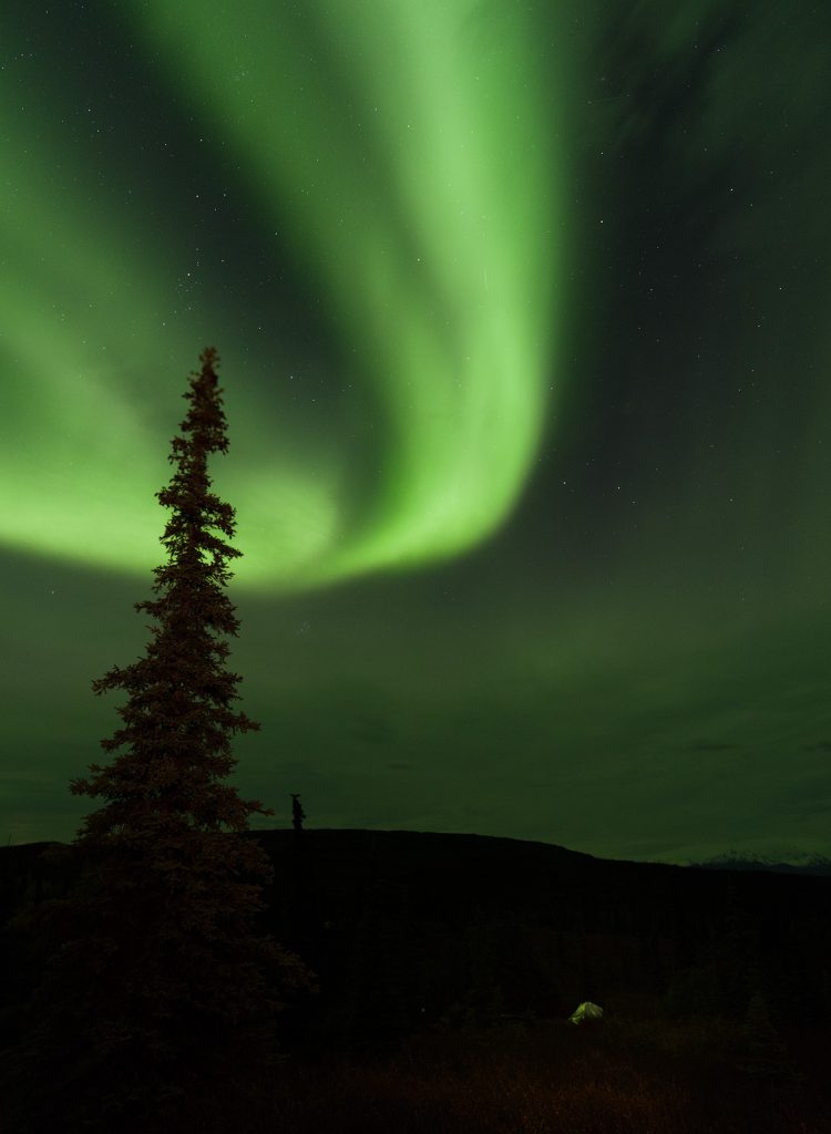 Aurora above the Wonder Lake campground