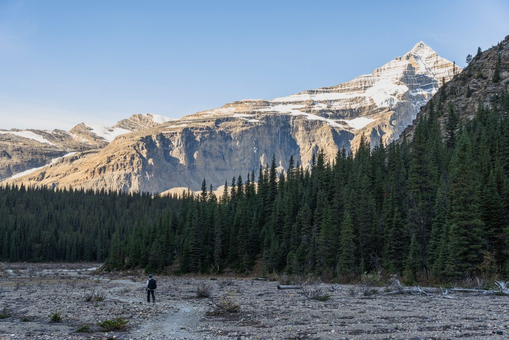 Wilderness in the Mount Robson Provincial Park