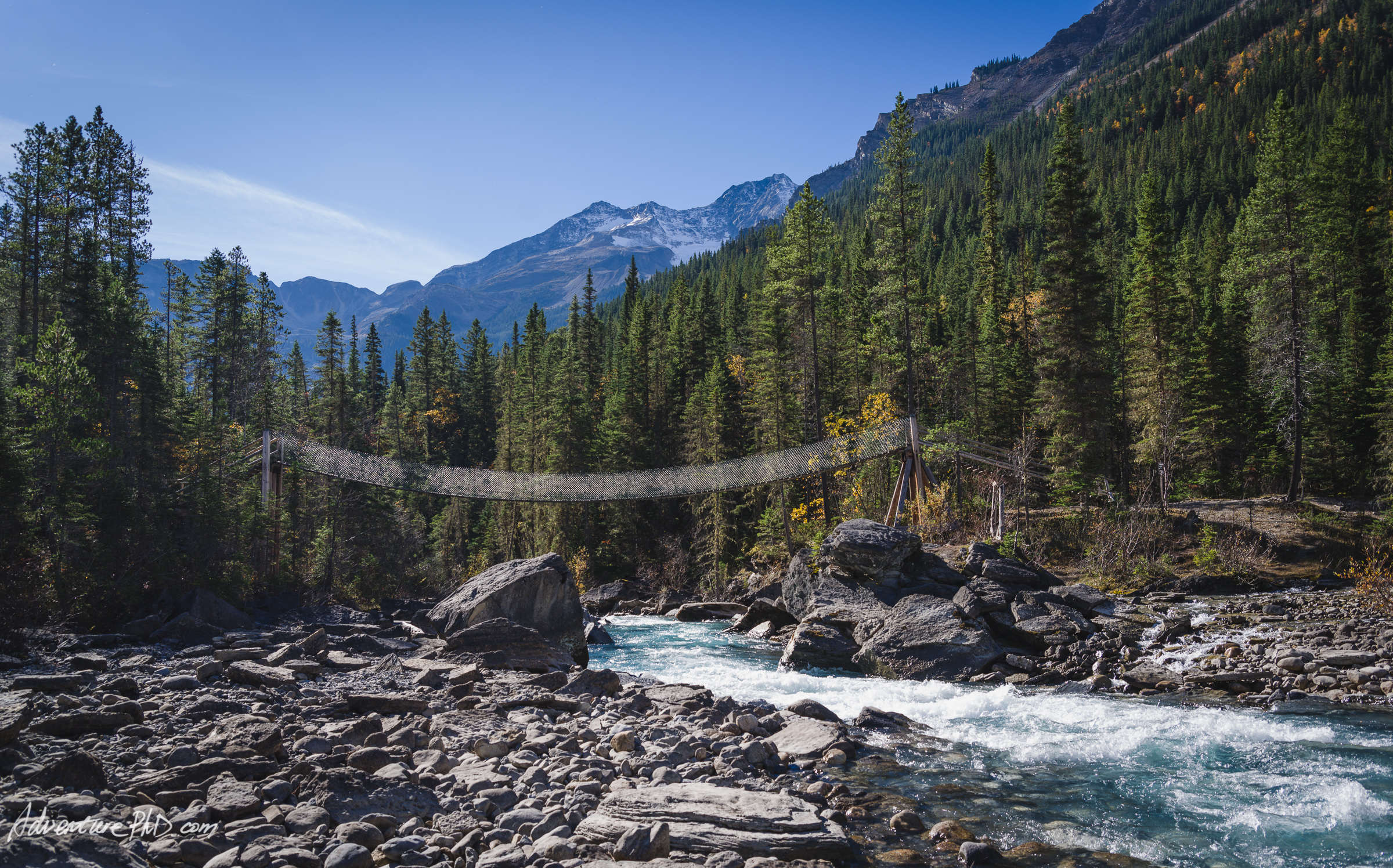 Whitehorn Campsite suspension bridge