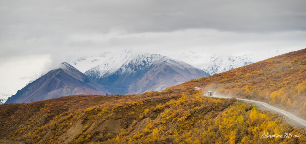 Tourist buses driving on the Park Road into the Denali National Park, Alaska, USA