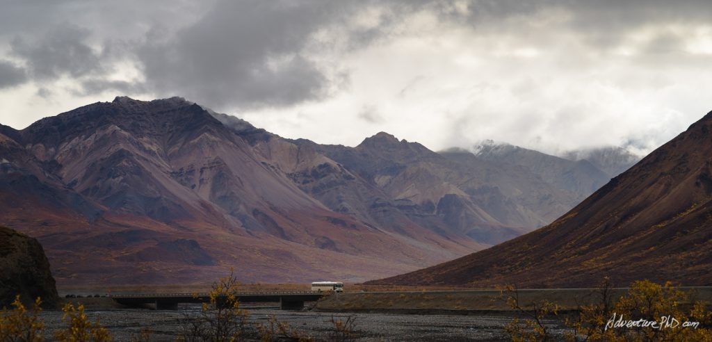 Tourist buses driving on the Park Road into the Denali National Park, Alaska, USA