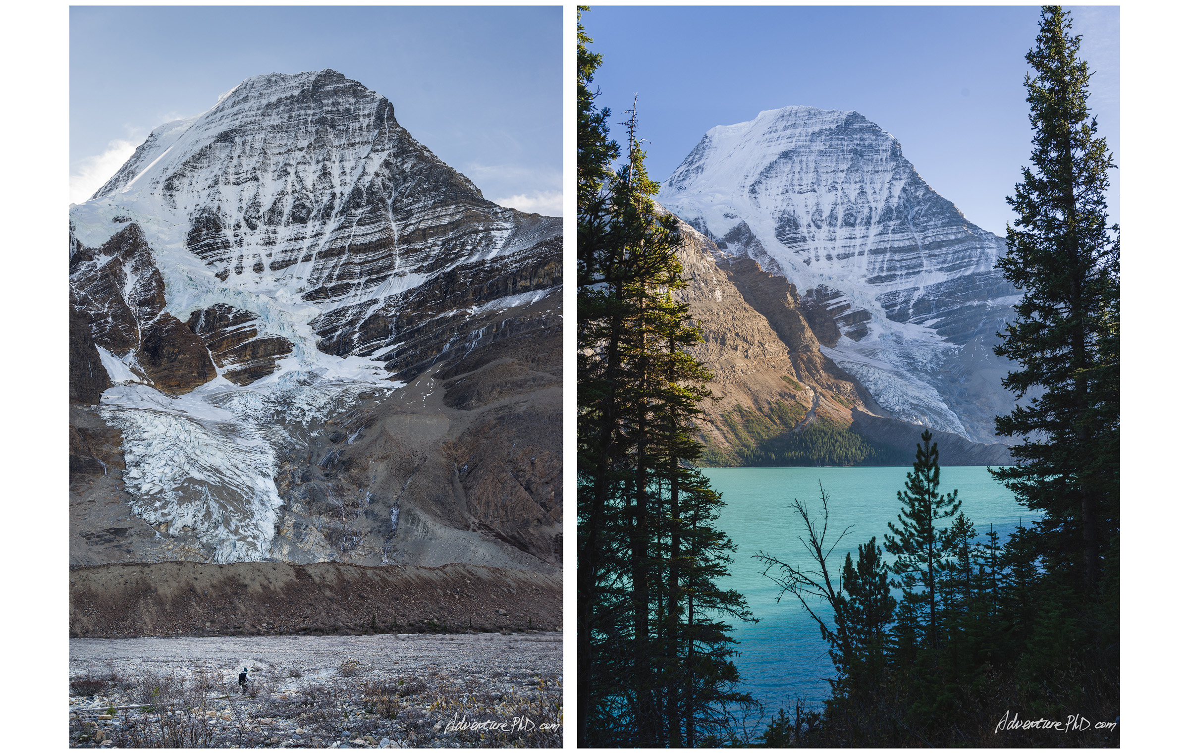 Mount. Robson from the Berg Lake Trail