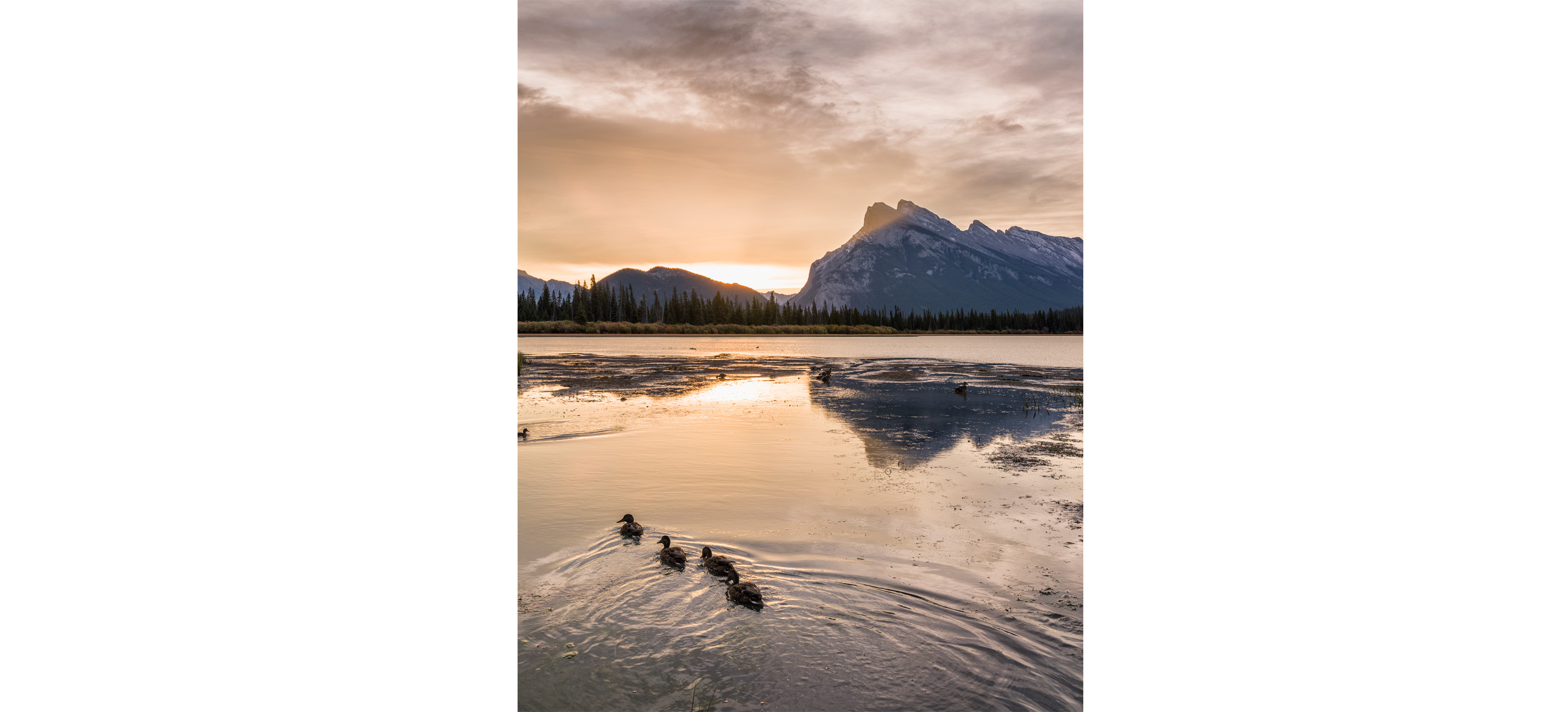 morning family time , Vermilion Lakes, Banff