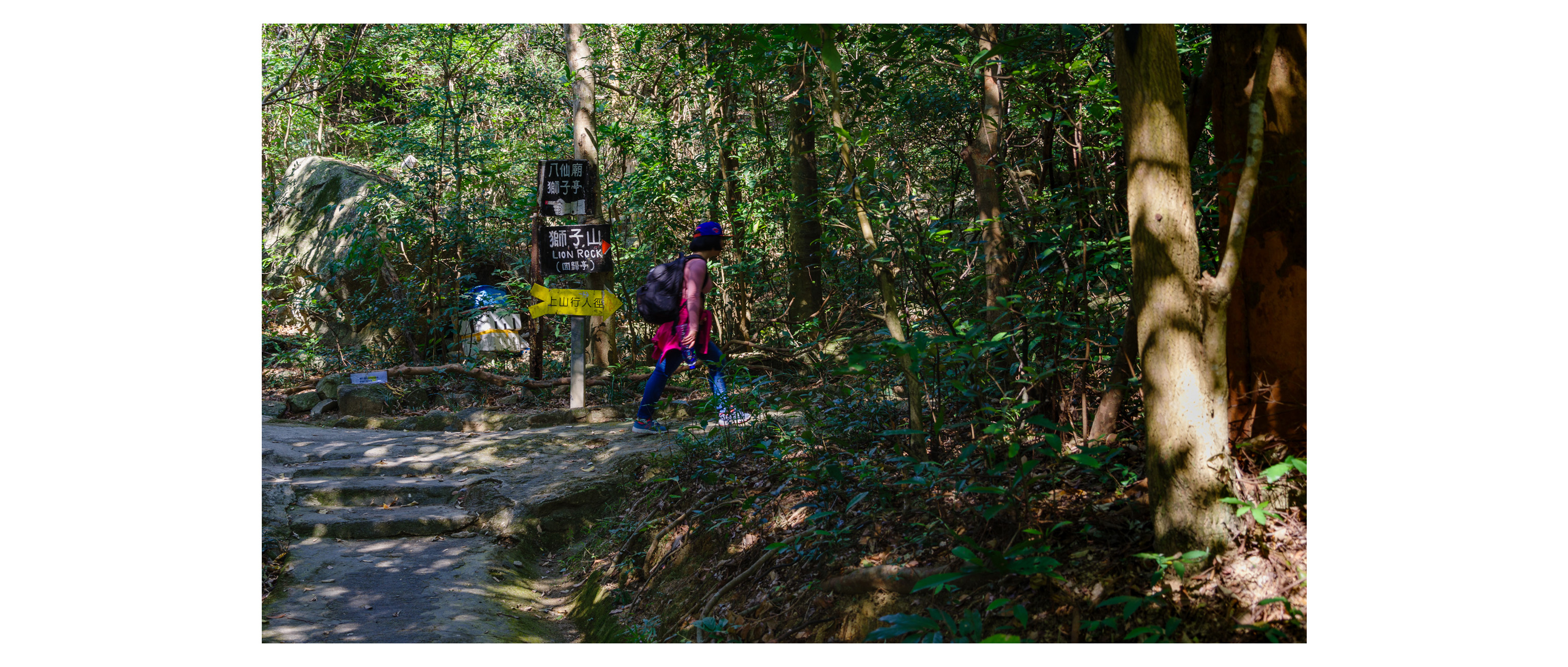 Trail to the Lion Rock