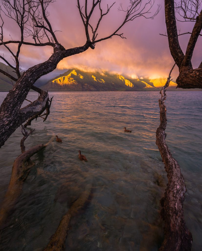 Lake Wakatipu morning
