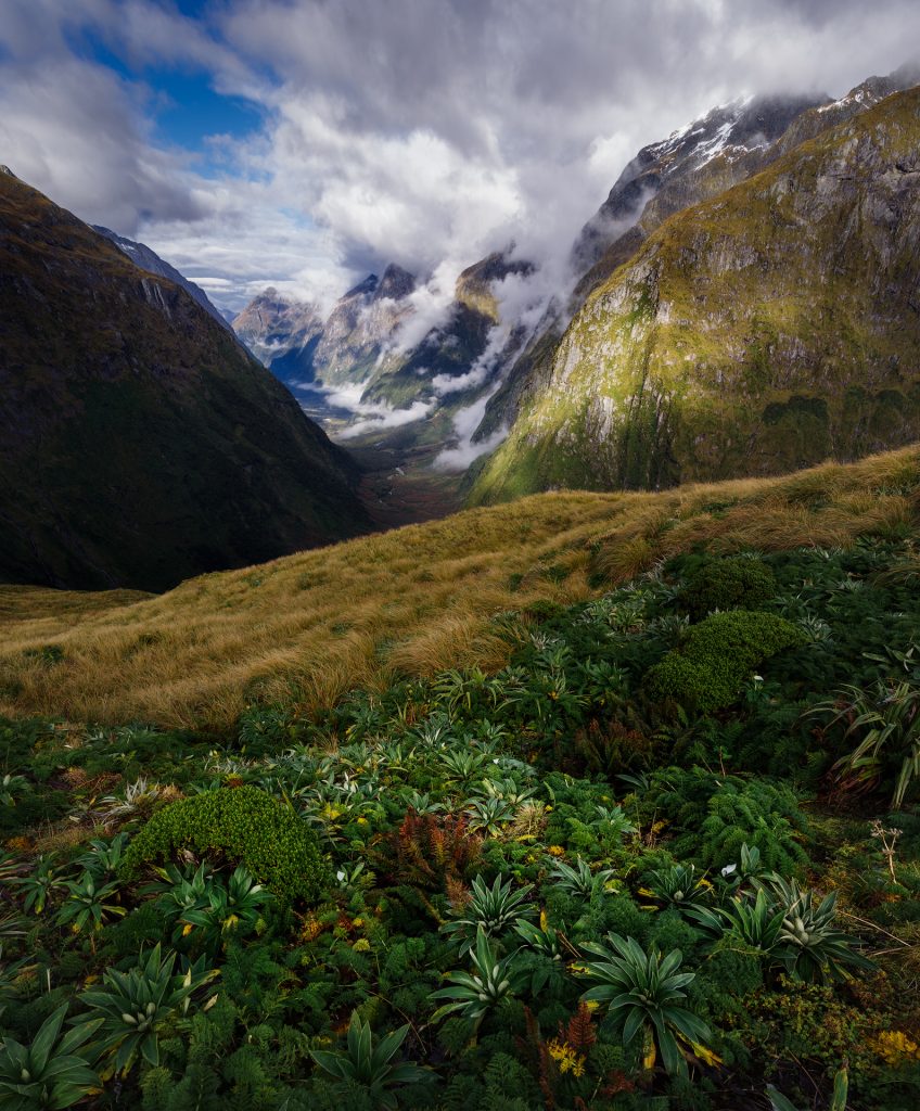 New Zealand