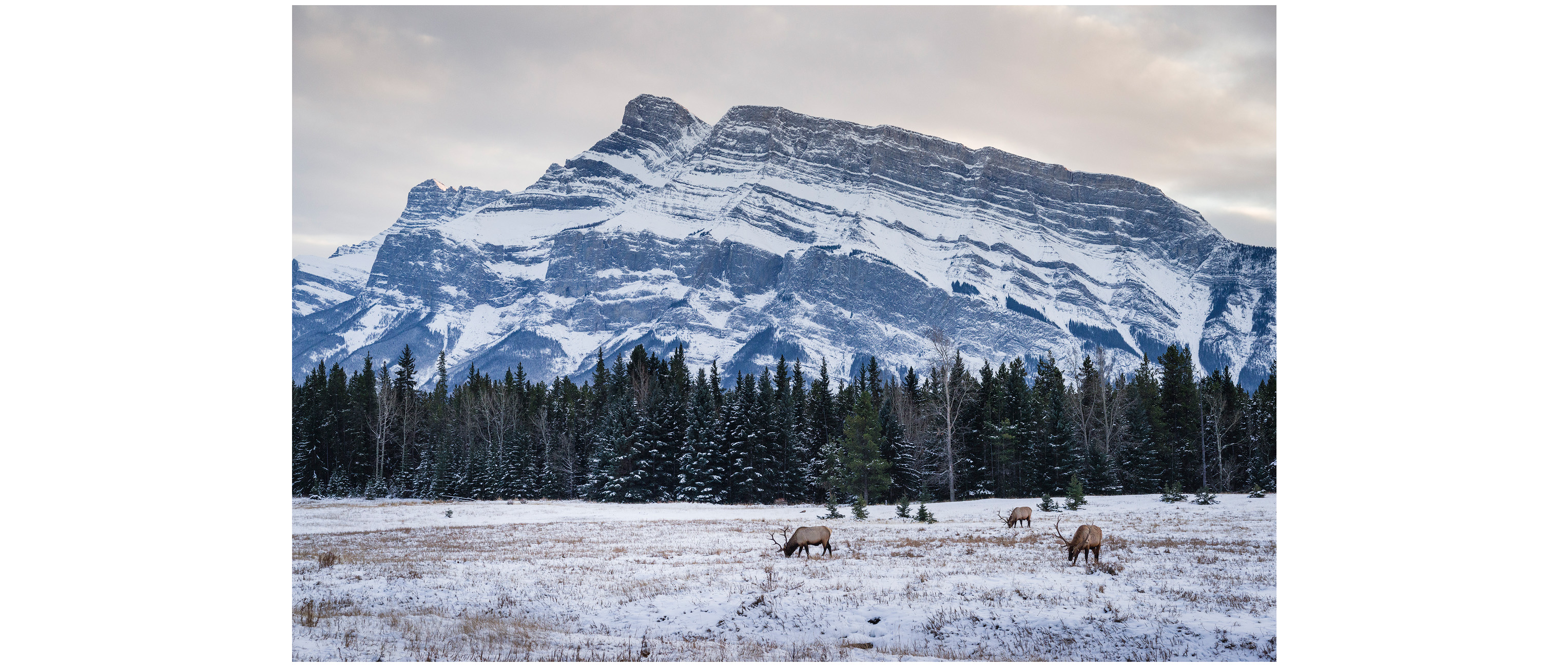 Banff National Park winter landscape near the Two Jack Lake